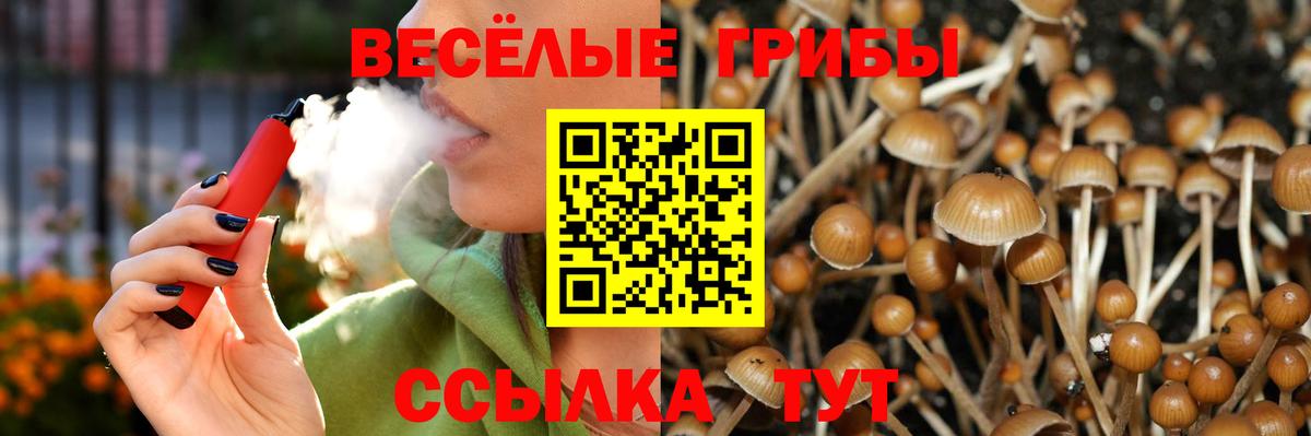 Галлюциногенные грибы Magic Shrooms  Вход с VPN  Псилоцибиновые грибы прущие грибы  Аксай 